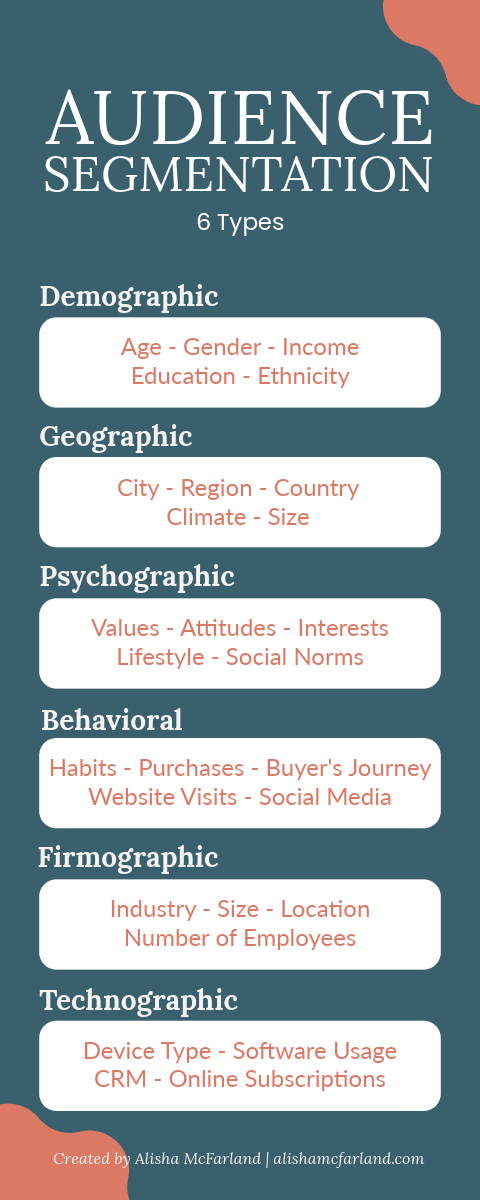 Types-of-Website-Audience-Segmentation-Infographic